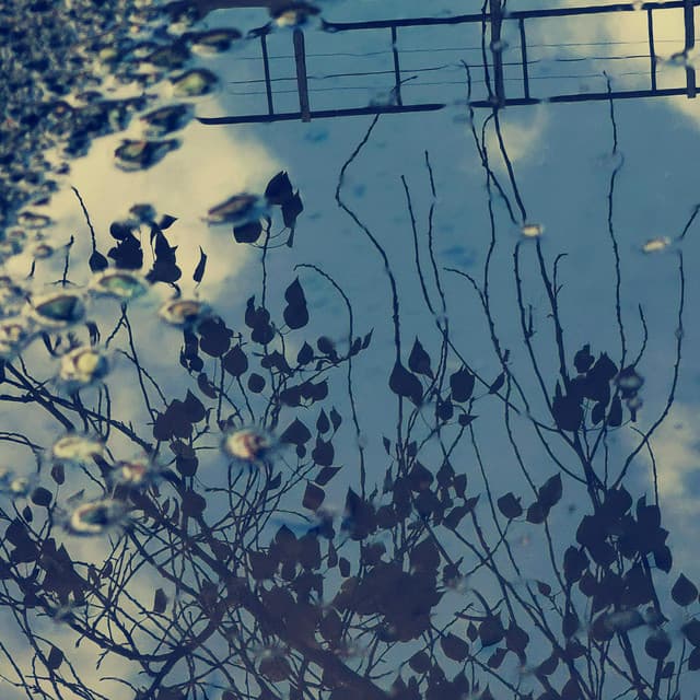 Sabi